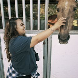 Palos Verdes Horse Rentals