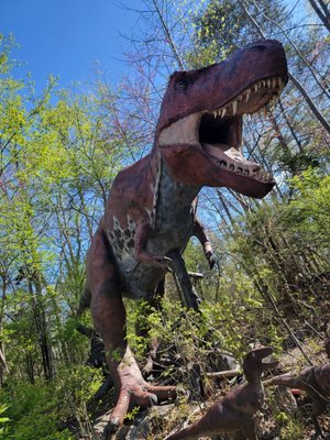 Backyard Terrors and Dinosaur Park by null
