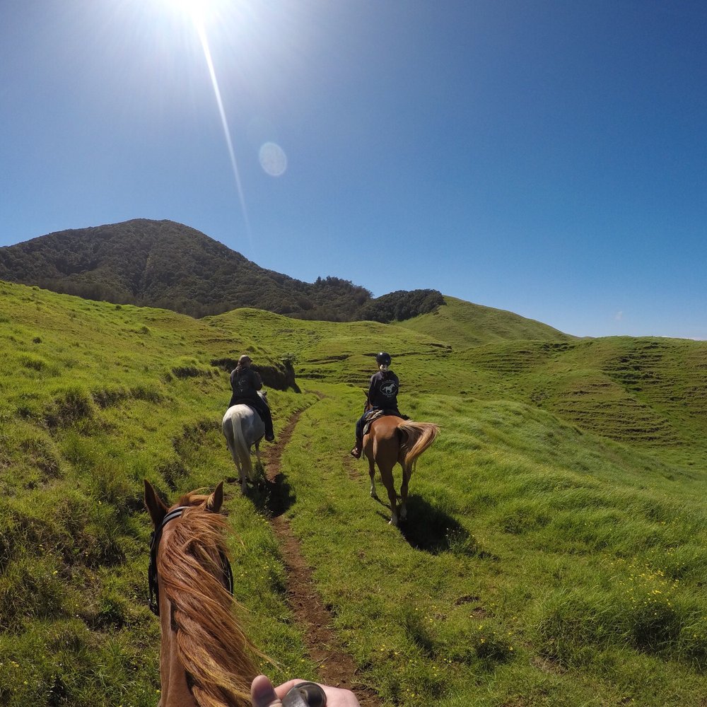 Na'alapa Stables - Horseback Riding Near Me - Kamuela, Hawaii Na'alapa Stables - Horseback Riding Near Me - Kamuela, Hawaii