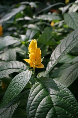 Photo of Tropengewächshäuser des Botanischen Gartens - Hamburg, HH, DE.