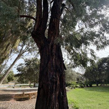 Sharon Park - Parks Near Me - Menlo Park, California Sharon Park - Parks Near Me - Menlo Park, California