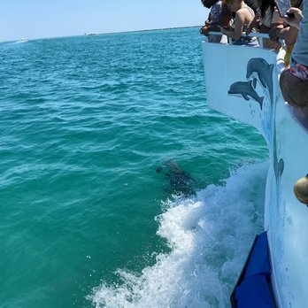 Boogies Watersports - Dolphins - Boating Near Me - Destin, Florida