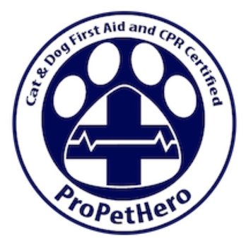 Furr Paws Only - Cat & Dog First Aid and CPR Certified - Pet Sitting Near Me Furr Paws Only - Cat & Dog First Aid and CPR Certified - Pet Sitting Near Me