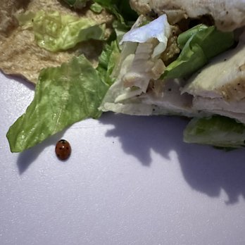 McAlister's Deli - Salad Near Me - Pembroke Pines, Florida