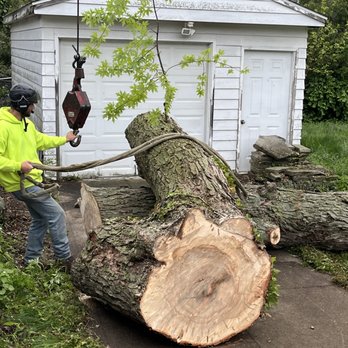 Hammon Inc Tree Services - Firewood Near Me - Spencer, Ohio Hammon Inc Tree Services - Firewood Near Me - Spencer, Ohio
