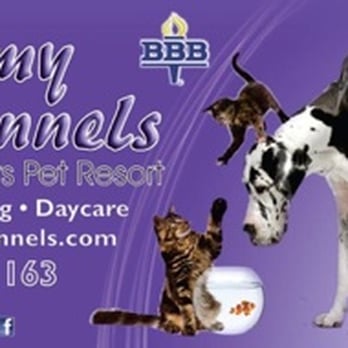 Academy Kennels - Pet Boarding Near Me - Fort Myers, Florida