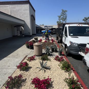 Tropicana Landscape - Landscaping Near Me - San Pedro, California Tropicana Landscape - Landscaping Near Me - San Pedro, California