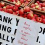 Photo of Apple festival  - Bethabara
