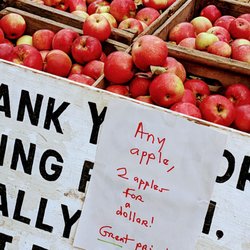 Apple festival - Bethabara