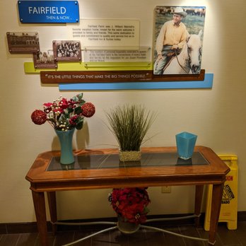 Fairfield Inn & Suites Toronto Brampton - Table by the elevators - Hotels Near Me - Brampton, Ontario Fairfield Inn & Suites Toronto Brampton - Table by the elevators - Hotels Near Me - Brampton, Ontario
