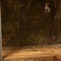 Photo of TFM Mold & Water Damage Restoration