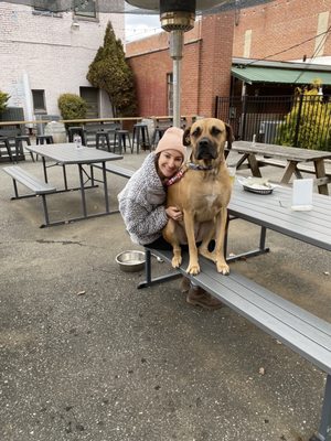 Lazy Hiker Brewing - Sylva Taproom by null