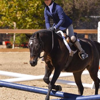 Cavallo Stables - Horseback Riding Near Me - Penryn, California