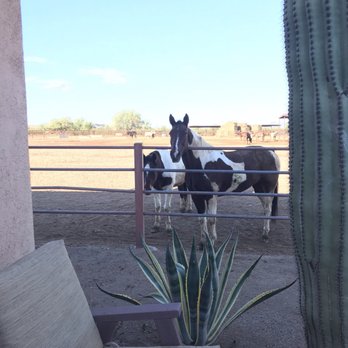 White Stallion Ranch - Hotels Near Me - Tucson, Arizona White Stallion Ranch - Hotels Near Me - Tucson, Arizona