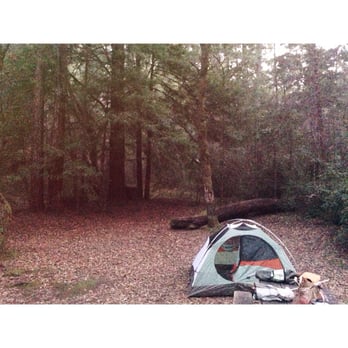 Hendy Woods State Park - Mellow and quiet - Parks Near Me - Philo, California Hendy Woods State Park - Mellow and quiet - Parks Near Me - Philo, California