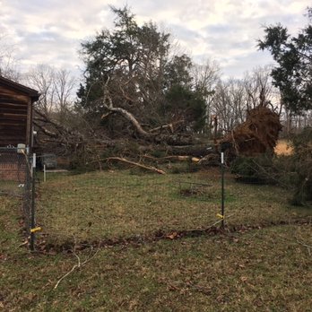 Jeff Manier's Tree Service - Took out deck roof resting on house. Ahhhh - Tree Services Near Me - Cookeville, Tennessee