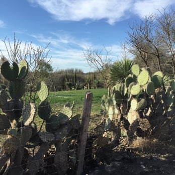 Restaurante  Nirvana - They grow a lot of their own organic produce - Mexican Near Me - San Miguel de Allende, GUA