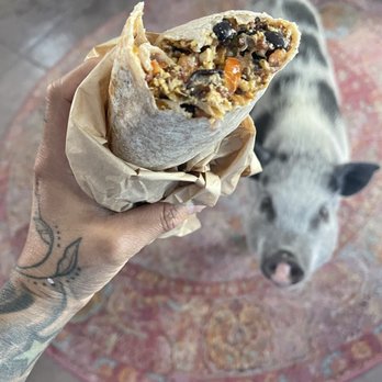 Goodness Fresh - Plant Based Burrito D - Salad Near Me - Tucson, Arizona Goodness Fresh - Plant Based Burrito D - Salad Near Me - Tucson, Arizona