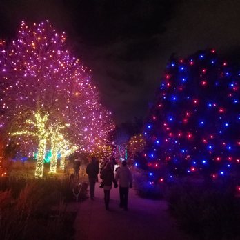 Blossoms of Light - Botanical Gardens Near Me - Denver, Colorado