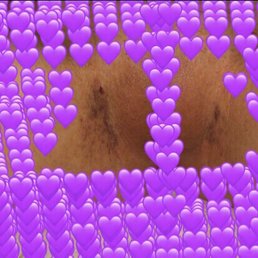 Post inflammatory hyperpigmentation scarring and bruises Post inflammatory hyperpigmentation scarring and bruises
