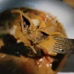 Babymoon Cafe - Porcini mushroom ravioli