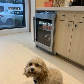 Small Door Veterinary - Upper East Side - Veterinarians Near Me - New York, New York Small Door Veterinary - Upper East Side - Veterinarians Near Me - New York, New York