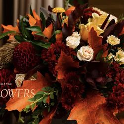Texas Blooms And Gifts - Fall flowers ready for delivery in the greater Austin area!