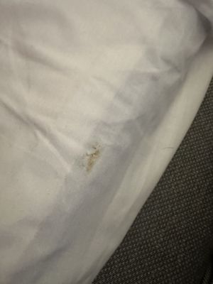 Gothia Towers by null