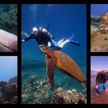Limitless Dive Co. Maui - Scuba Diving Near Me Limitless Dive Co. Maui - Scuba Diving Near Me