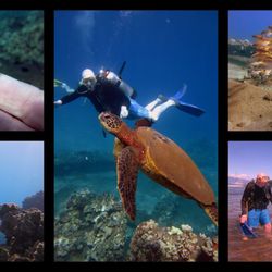 Limitless Dive Co. Maui