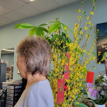 D&M Salon Spa - Hair Salons Near Me - Las Vegas, Nevada D&M Salon Spa - Hair Salons Near Me - Las Vegas, Nevada