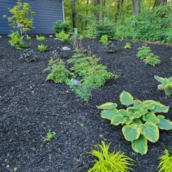 D&L Landscaping