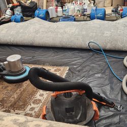 Caspian Rug Company - Cleaning Rug