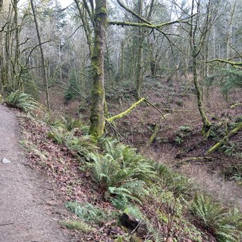 Dash Point State Park - Parks Near Me - Federal Way, Washington Dash Point State Park - Parks Near Me - Federal Way, Washington