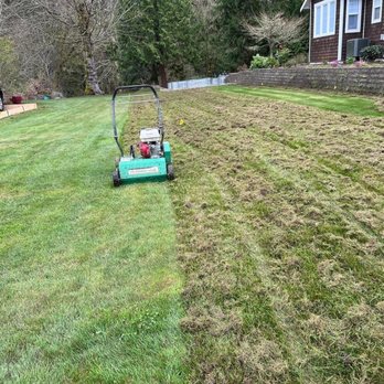 Green Ocean Landscaping - Lawn new repair. - Landscaping Near Me