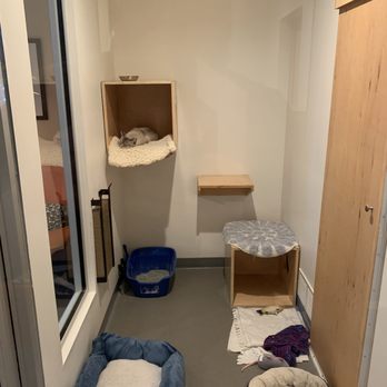 Cat Town - Animal Shelters Near Me - Oakland, California