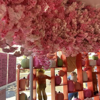 Pink Rose Cafe - Coffee & Tea Near Me - La Mesa, California Pink Rose Cafe - Coffee & Tea Near Me - La Mesa, California