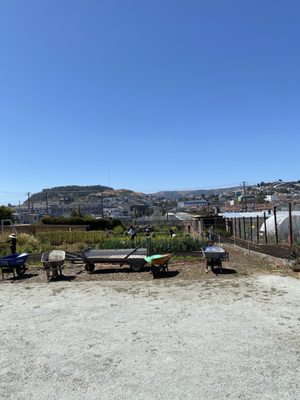 Florence Fang Community Farm by null