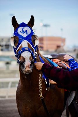 Remington Park by null