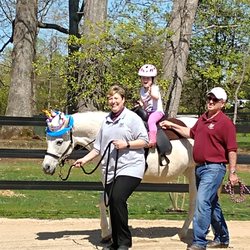 Iron Ponytail Farm - Birthday Pony Ride Lesson!