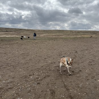 Westminster Dog Park - Dog Parks Near Me - Westminster, Colorado Westminster Dog Park - Dog Parks Near Me - Westminster, Colorado