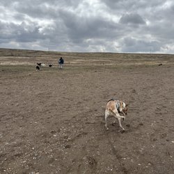 Westminster Dog Park