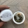 Trulieve Clermont Dispensary