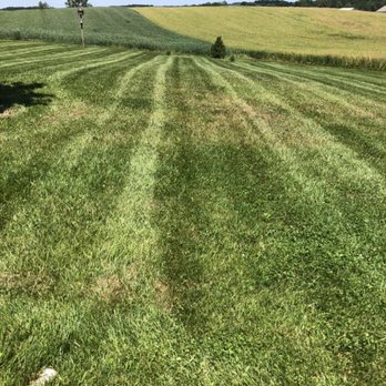 T&E Landscaping Service - Landscaping Near Me T&E Landscaping Service - Landscaping Near Me