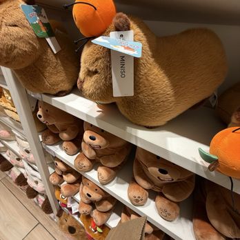 Miniso - Capybara - Cosmetics & Beauty Supply Near Me - Naperville, Illinois
