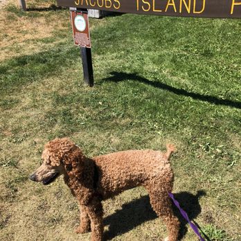 Jacob's Island Bark Park - Dog Parks Near Me - Missoula, Montana Jacob's Island Bark Park - Dog Parks Near Me - Missoula, Montana