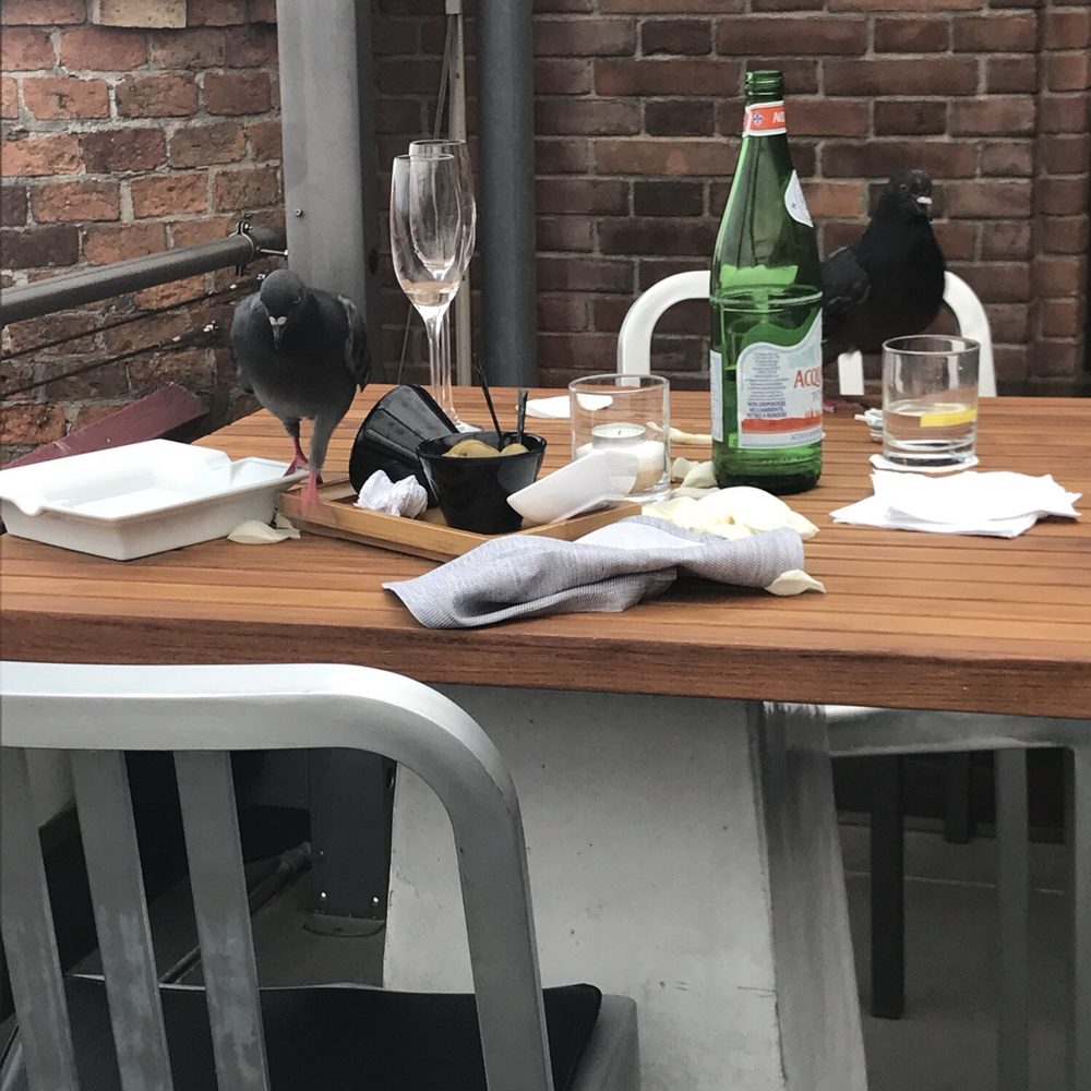Skyline Rooftop Bar - Cocktail Bars Near Me - Venezia, VE