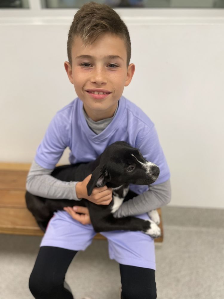 ALMOST THERE A MOM + PUPS RESCUE 11 Photos 2611 E Indian School Rd