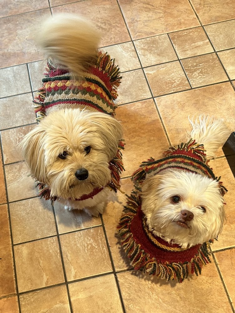 SPLASH AND DASH GROOMERIE & BOUTIQUE Updated September 2024 59