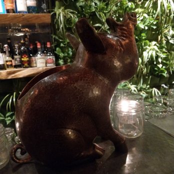 Pigtails - Whining Pig on bar. Wall of plants. Liquors. - Cocktail Bars Near Me - Phoenix, Arizona Pigtails - Whining Pig on bar. Wall of plants. Liquors. - Cocktail Bars Near Me - Phoenix, Arizona